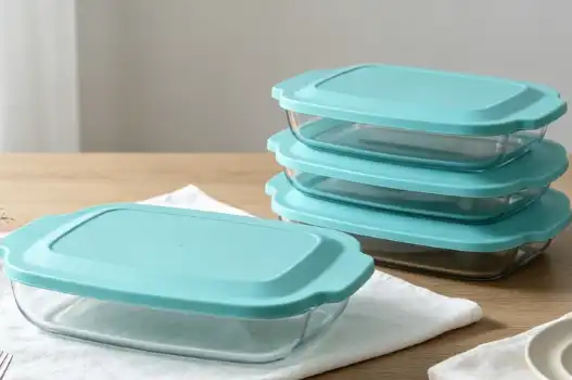 Glass or Plastic Food Glass Lunch Boxes?